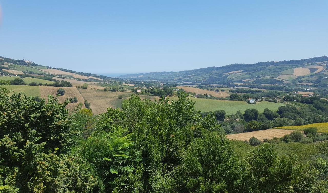 Il Piccolo Carro Apartments Monterubbiano Екстериор снимка